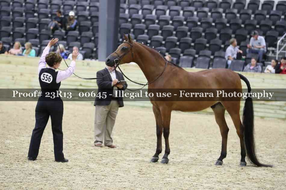Proof 23R13_00645
