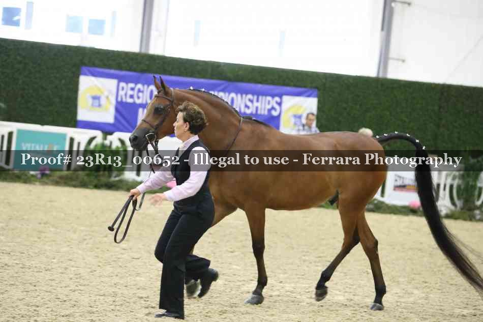 Proof 23R13_00652