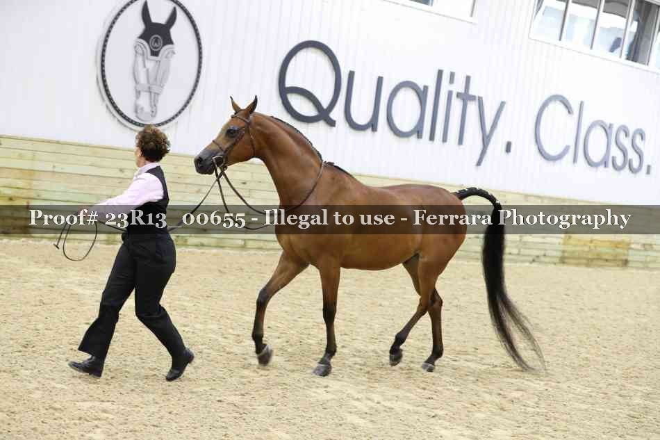 Proof 23R13_00655