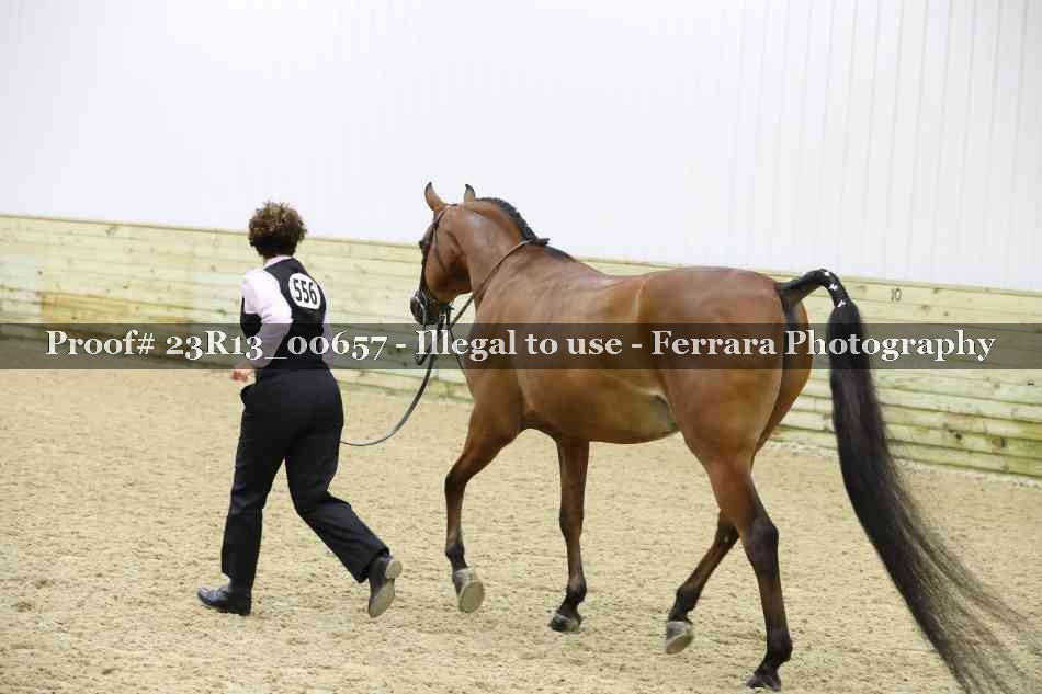 Proof 23R13_00657