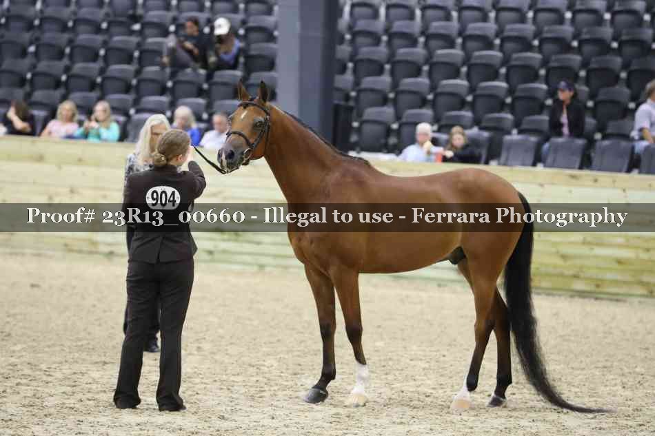 Proof 23R13_00660