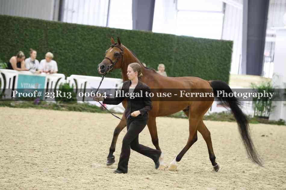 Proof 23R13_00664