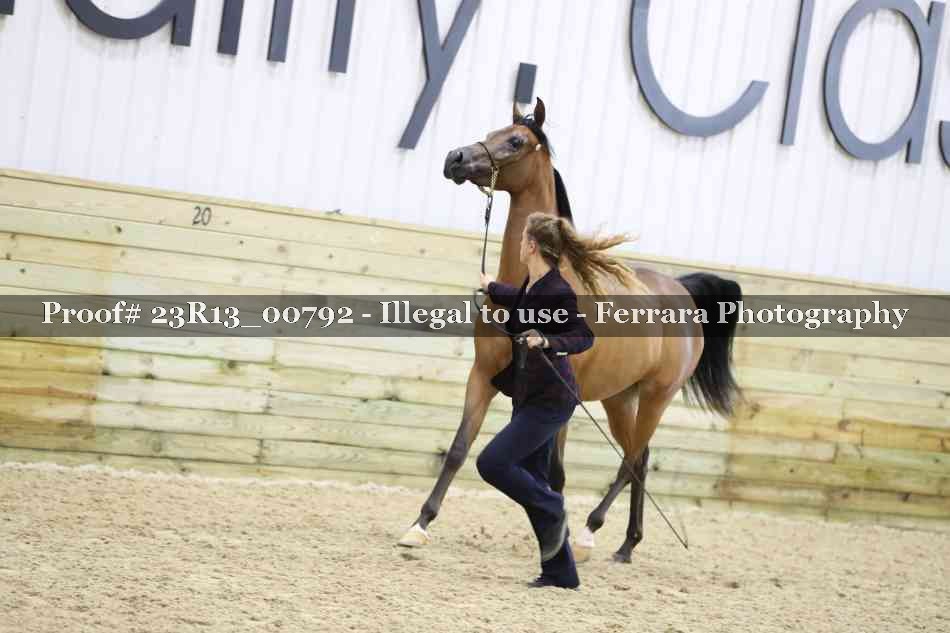 Proof 23R13_00792