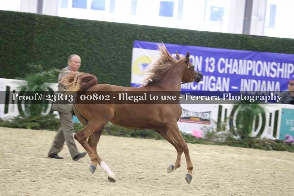 Proof 23R13_00802