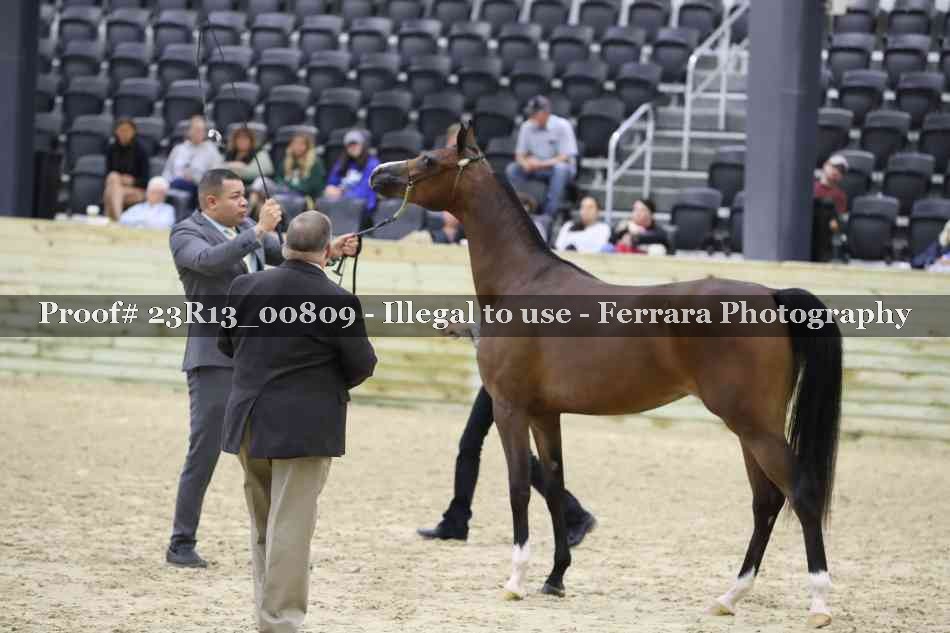 Proof 23R13_00809