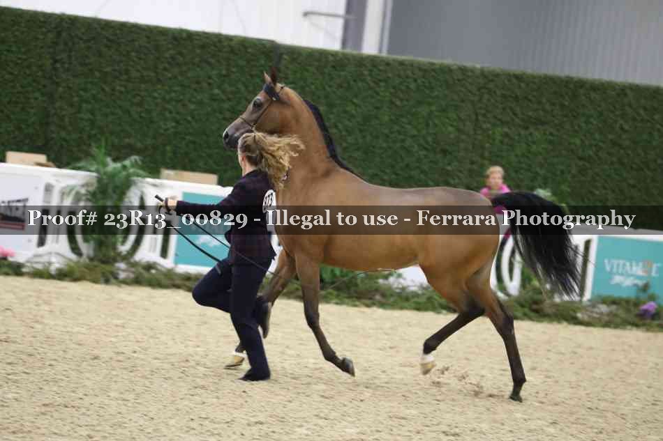 Proof 23R13_00829