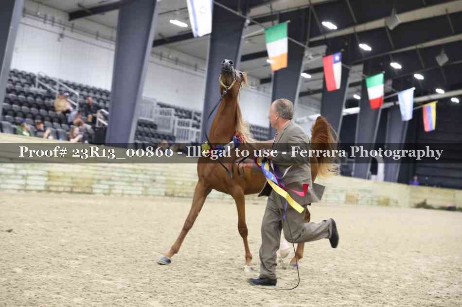 Proof 23R13_00860