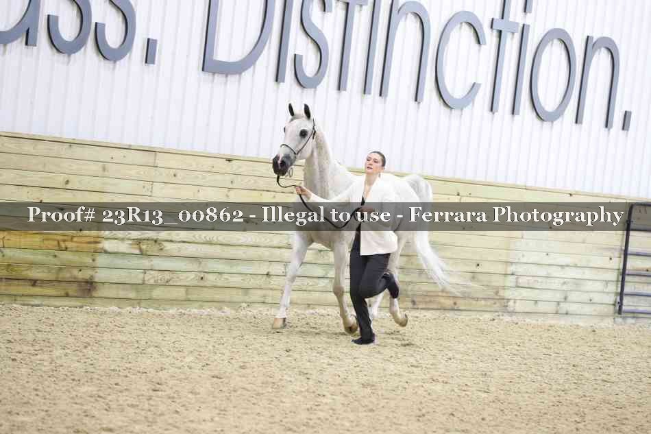 Proof 23R13_00862