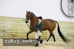 23R13_00873 proof