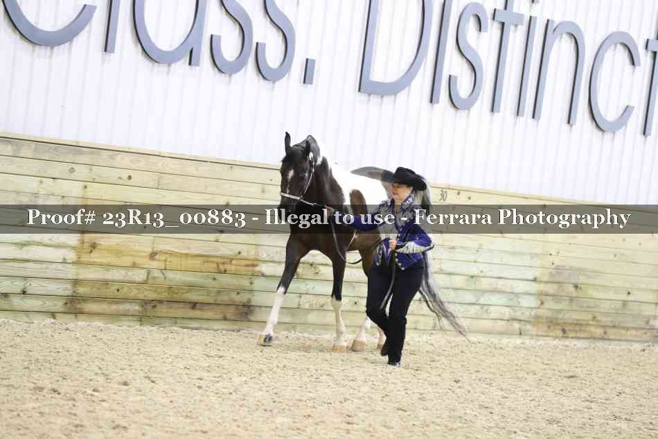 Proof 23R13_00883