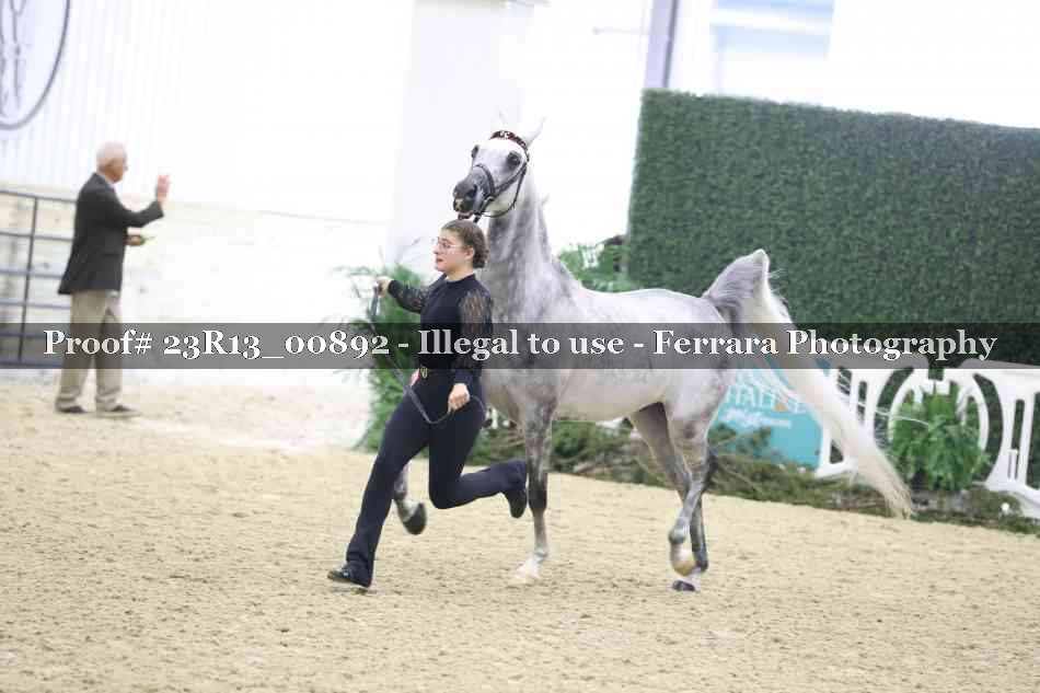 Proof 23R13_00892