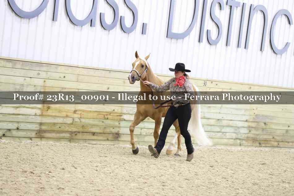 Proof 23R13_00901