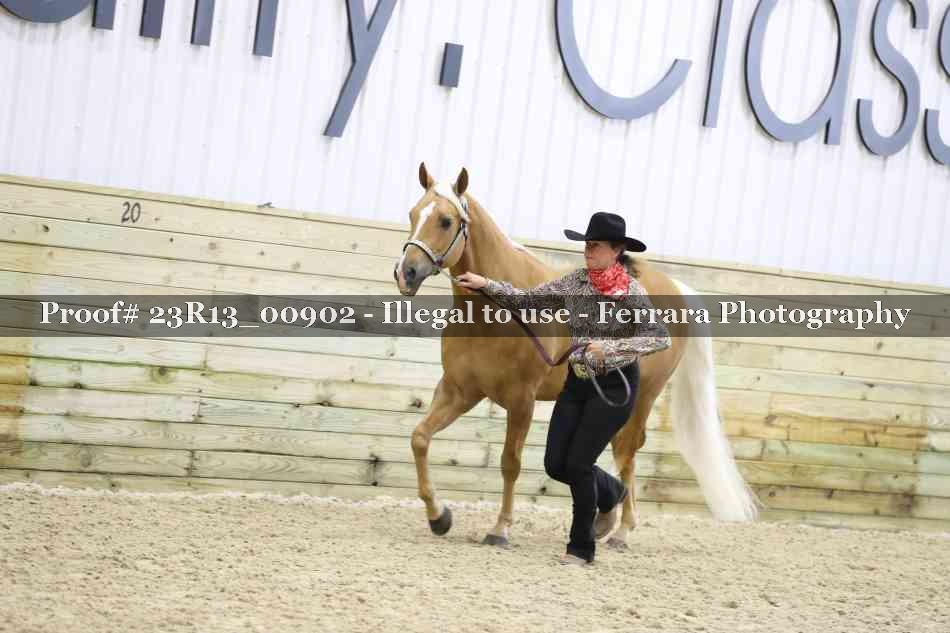 Proof 23R13_00902