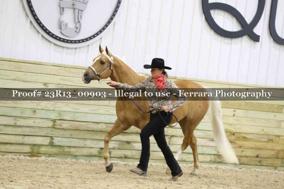 Proof 23R13_00903