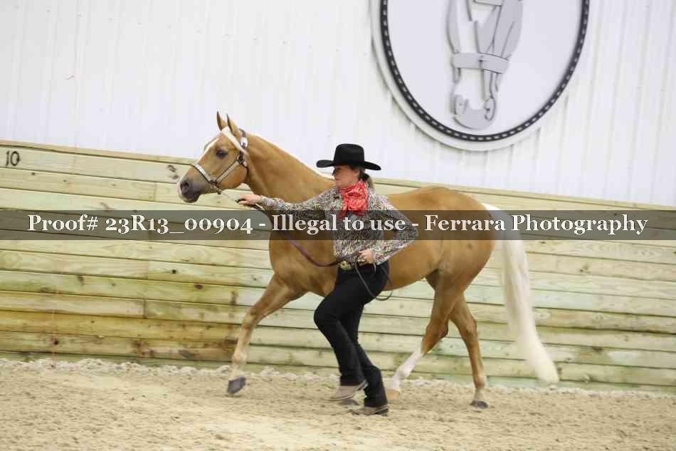 Proof 23R13_00904