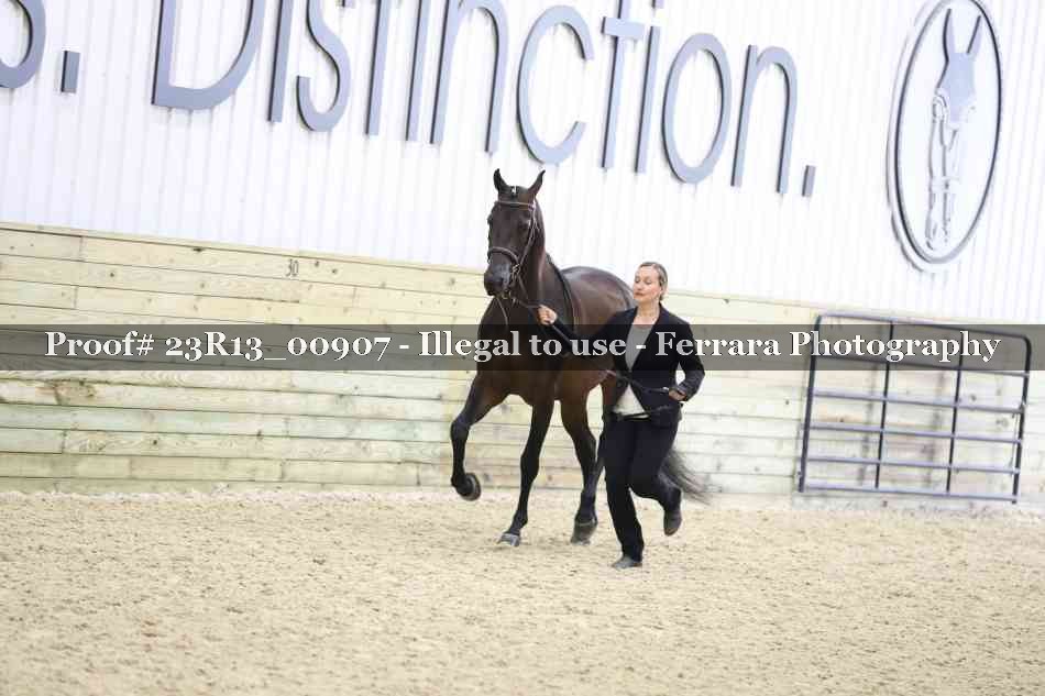 Proof 23R13_00907