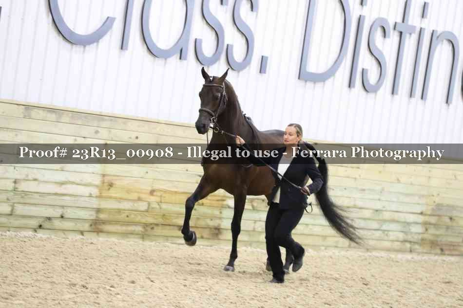 Proof 23R13_00908