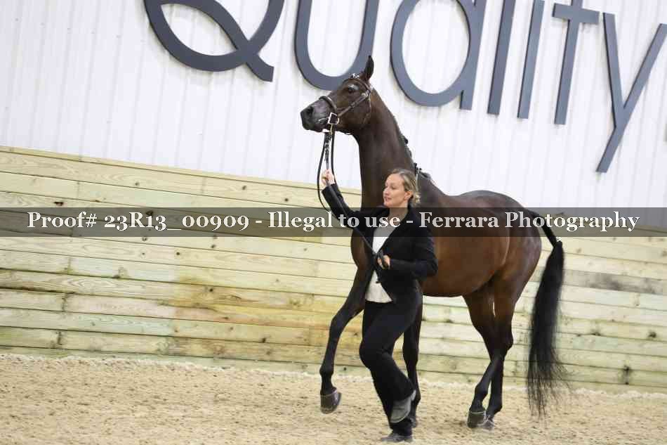 Proof 23R13_00909