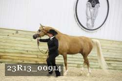 23R13_00914 proof