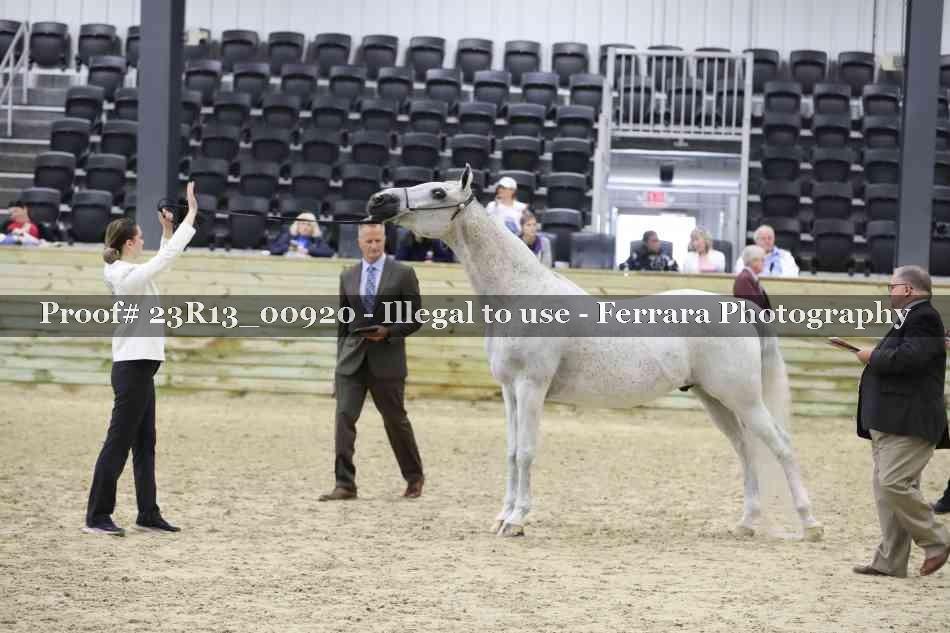 Proof 23R13_00920