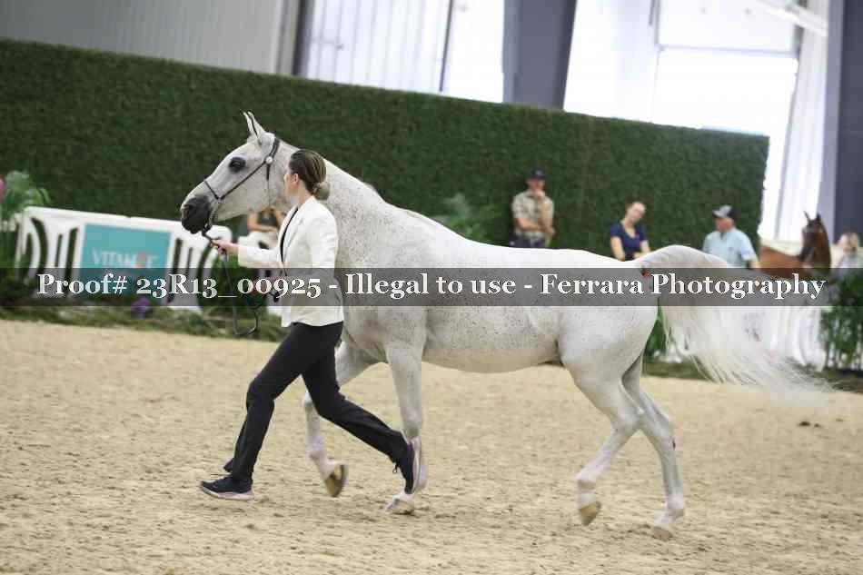 Proof 23R13_00925