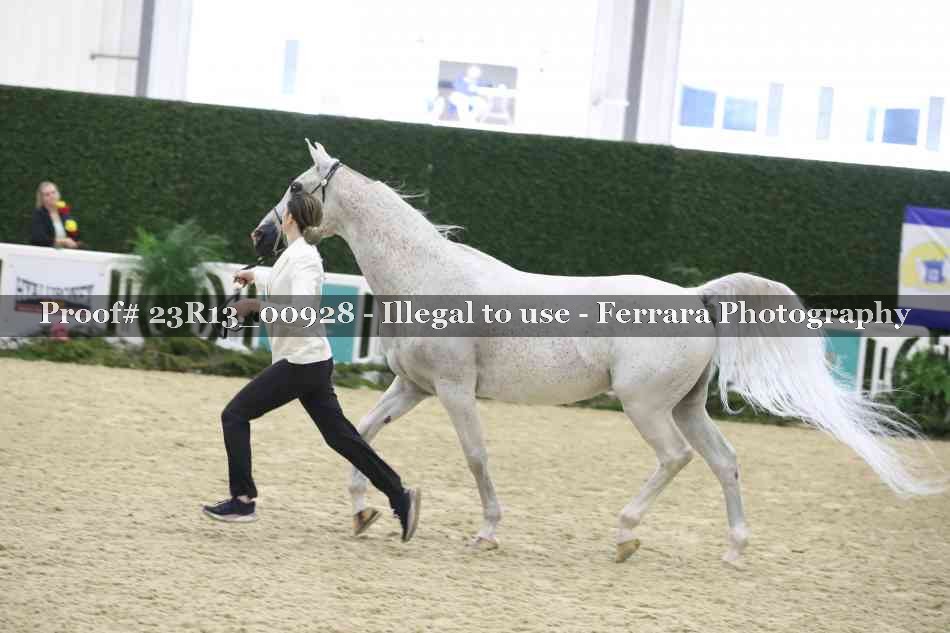 Proof 23R13_00928