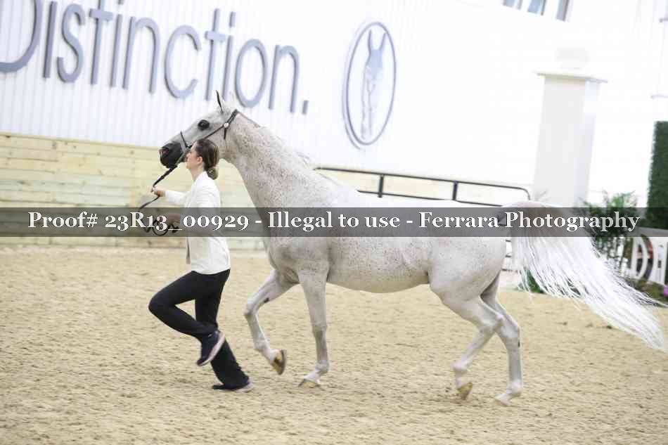 Proof 23R13_00929