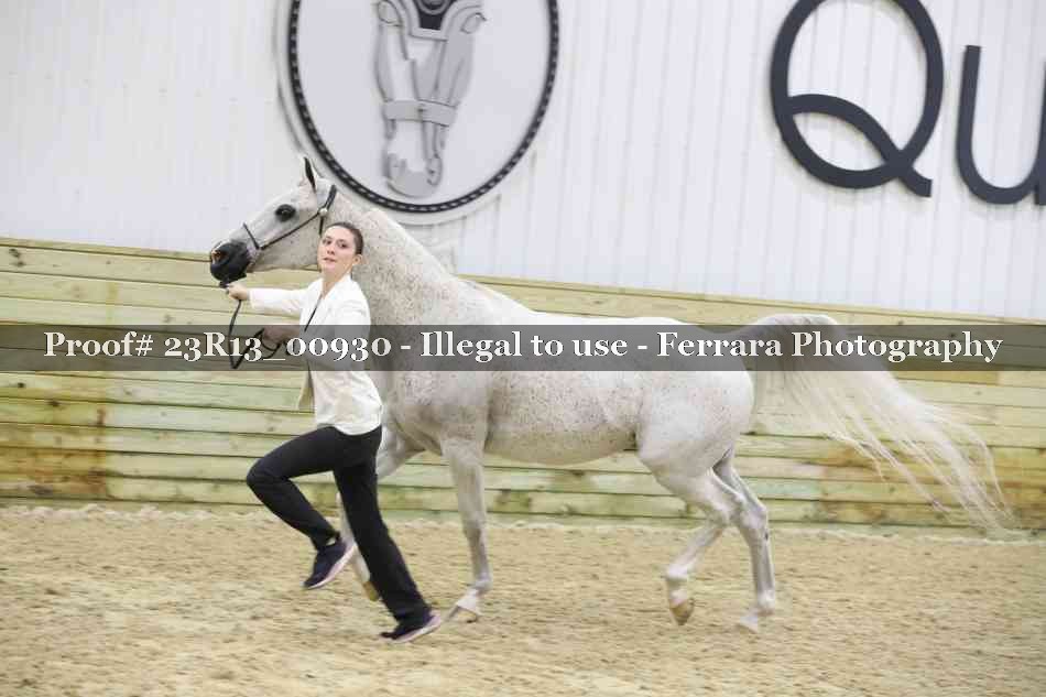 Proof 23R13_00930