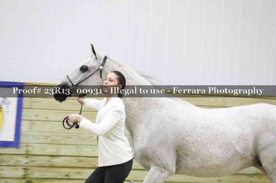 Proof 23R13_00931