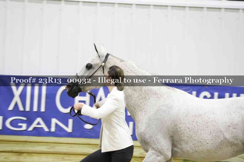 Proof 23R13_00932