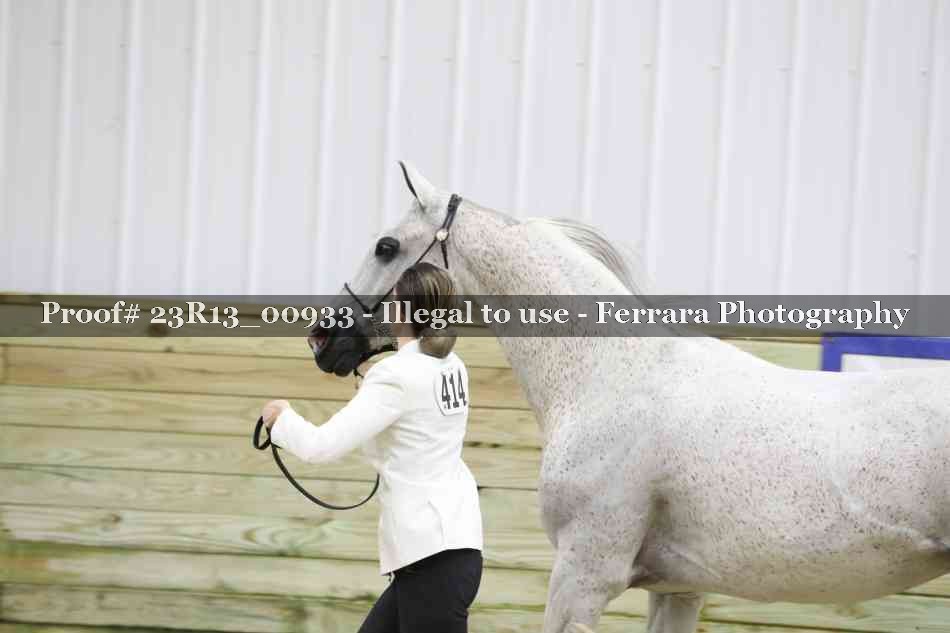 Proof 23R13_00933