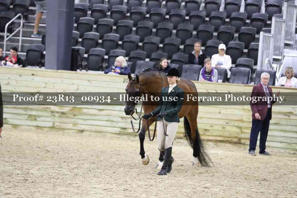 Proof 23R13_00934