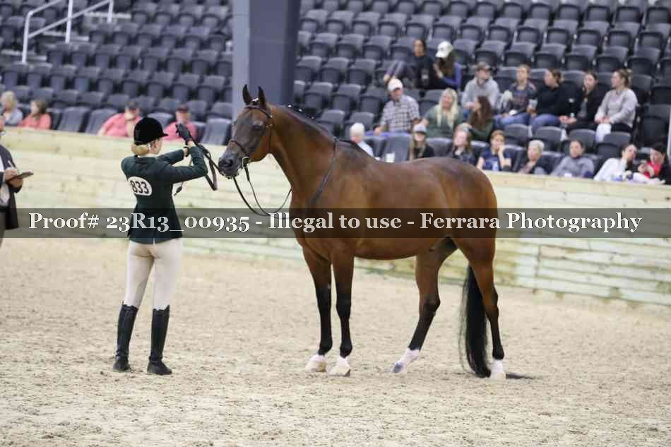 Proof 23R13_00935