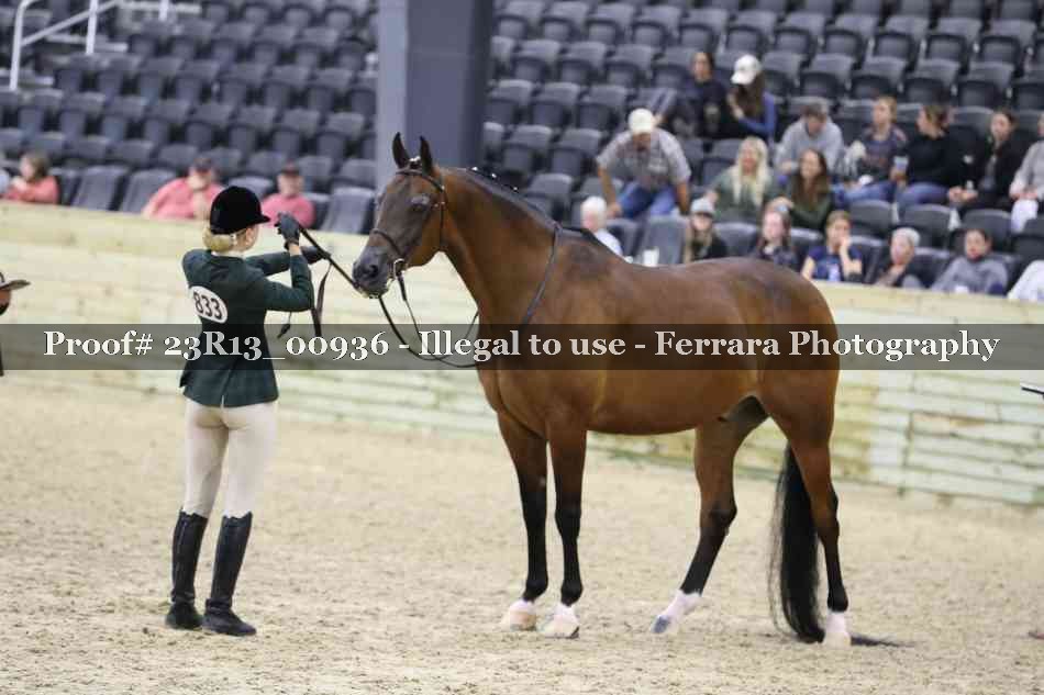 Proof 23R13_00936