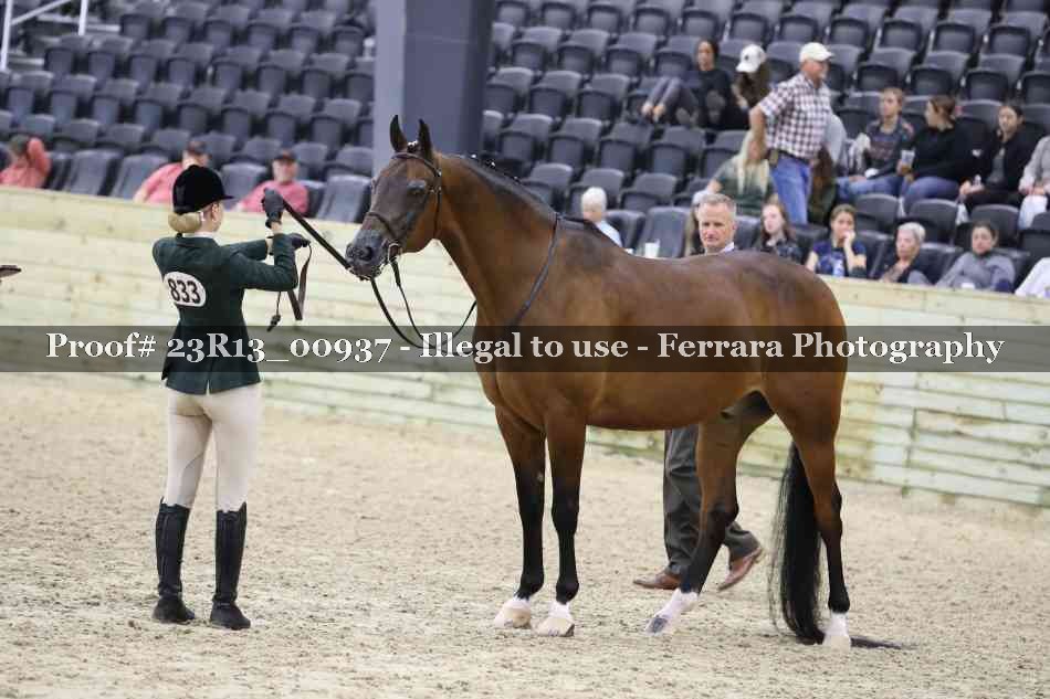 Proof 23R13_00937