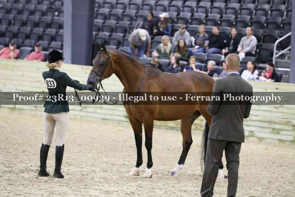 Proof 23R13_00939