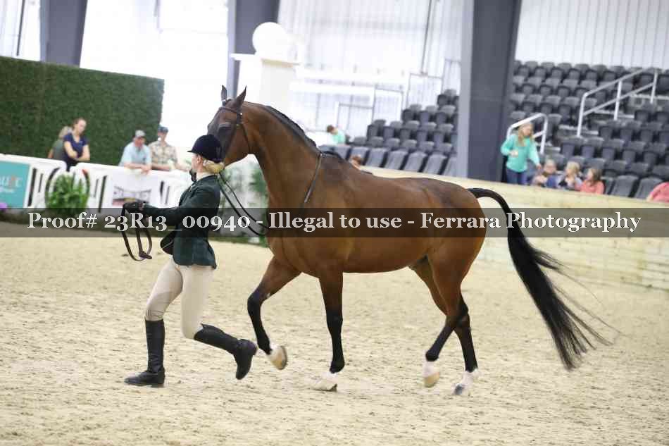 Proof 23R13_00940