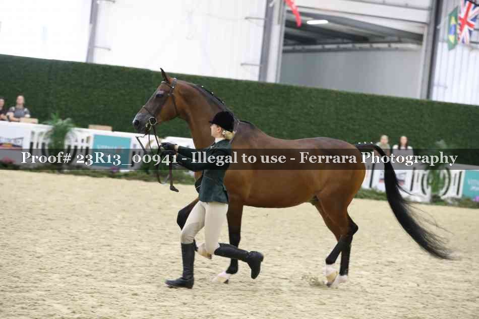 Proof 23R13_00941