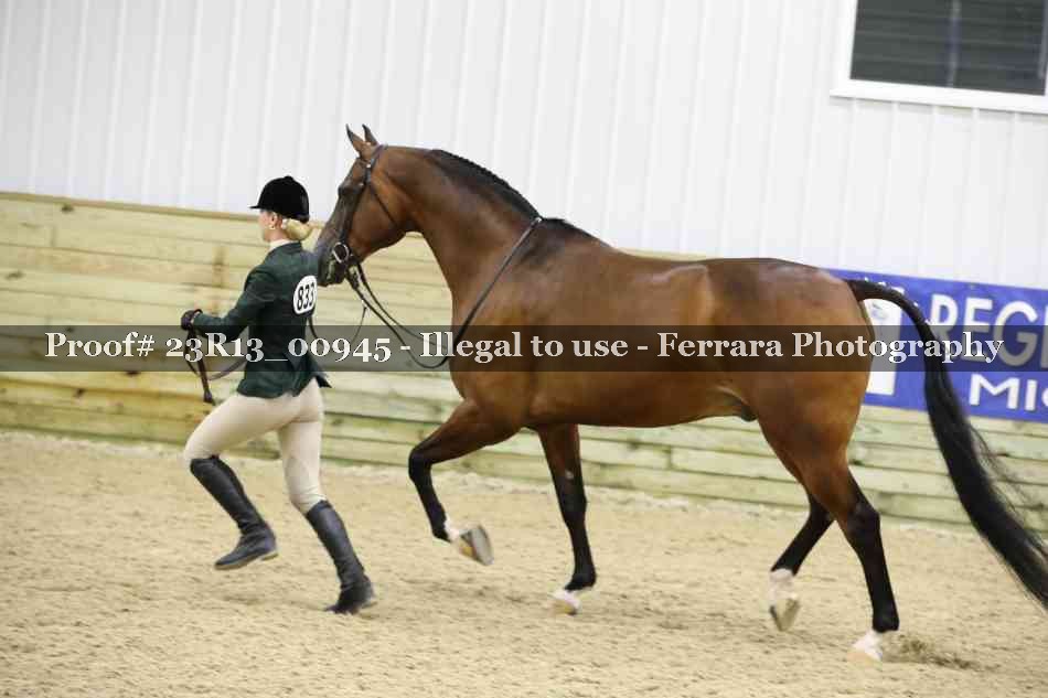 Proof 23R13_00945