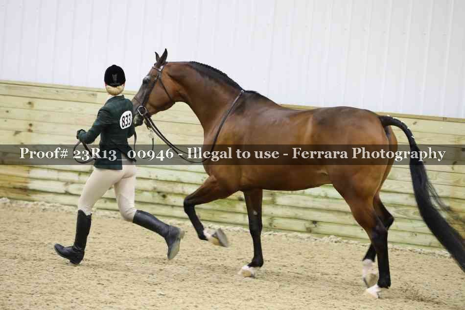 Proof 23R13_00946