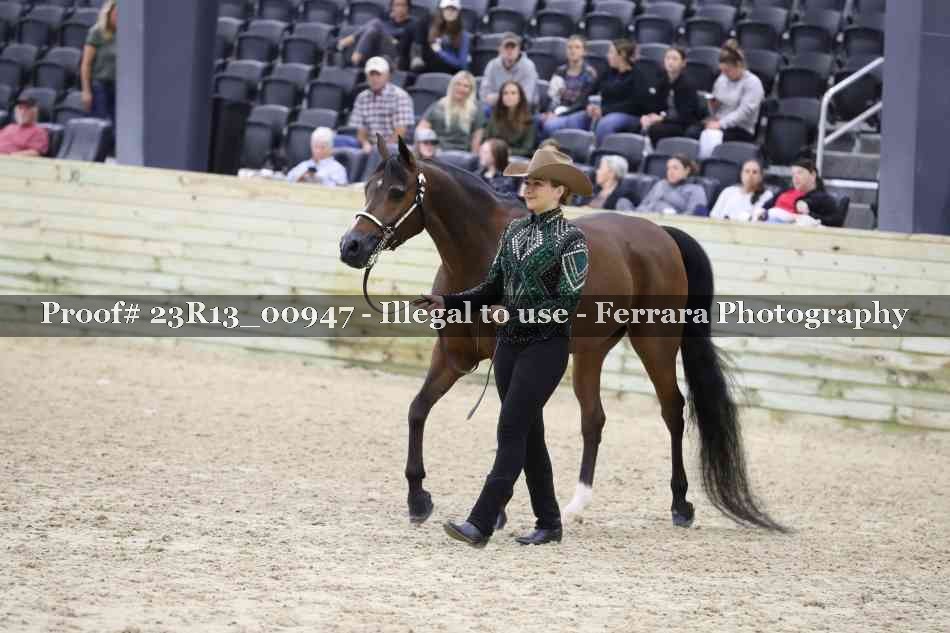 Proof 23R13_00947