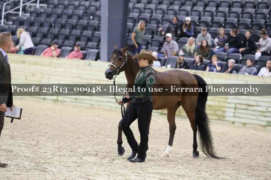 Proof 23R13_00948