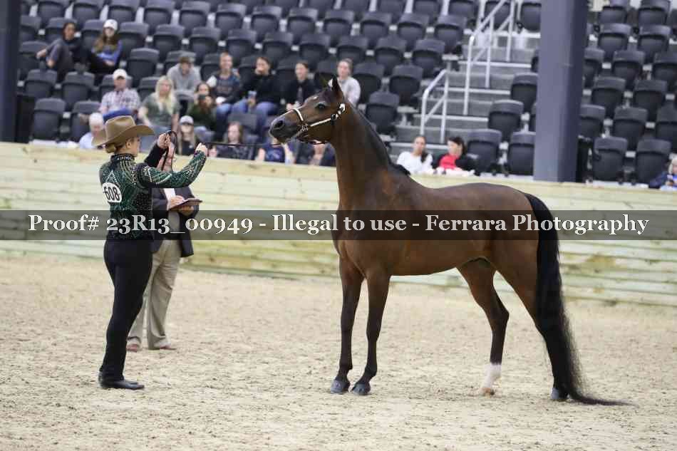 Proof 23R13_00949
