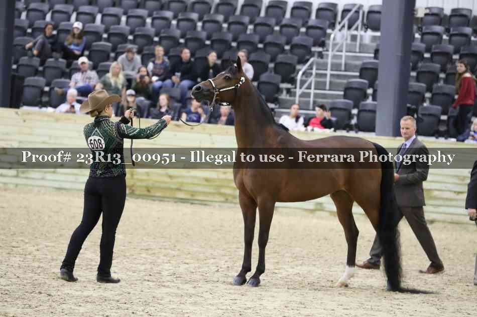 Proof 23R13_00951