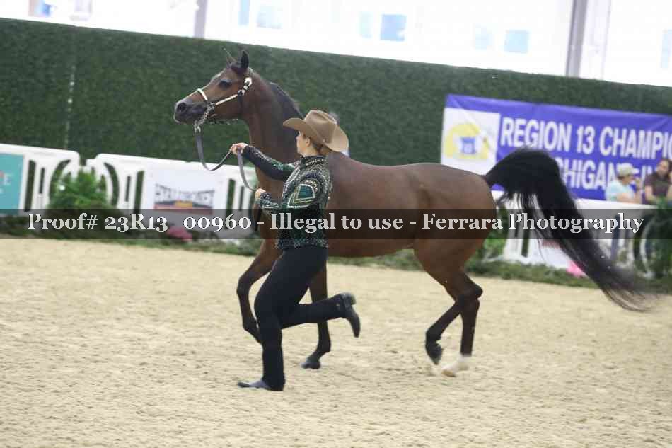 Proof 23R13_00960