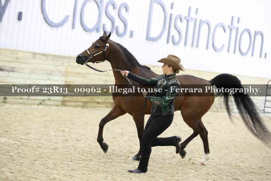 Proof 23R13_00962