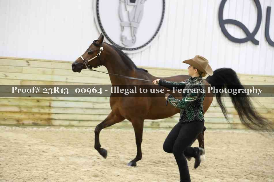 Proof 23R13_00964