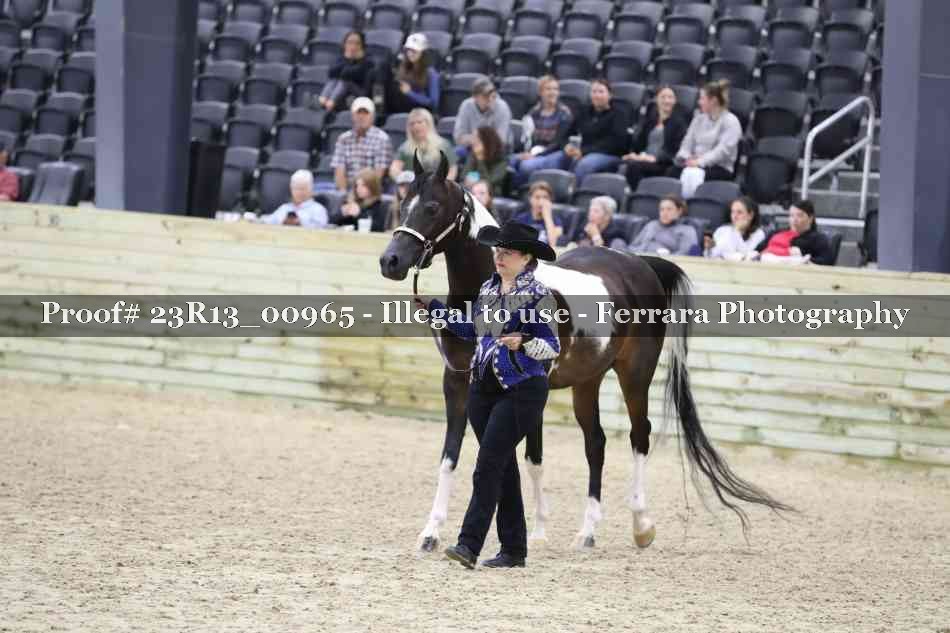 Proof 23R13_00965
