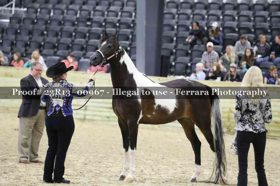 Proof 23R13_00967