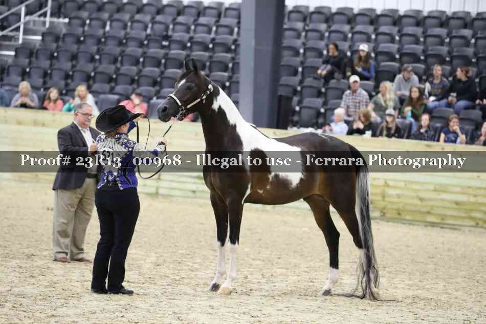 Proof 23R13_00968